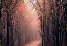 买股票开户怎么弄:股票融资的利息是多少-“8天7板”诺德股份回复问询函：正在加紧核查实控人与洪田股份的关联关系